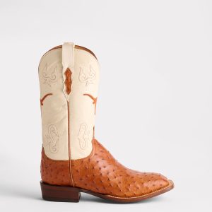 The Bevo :: Barnwood