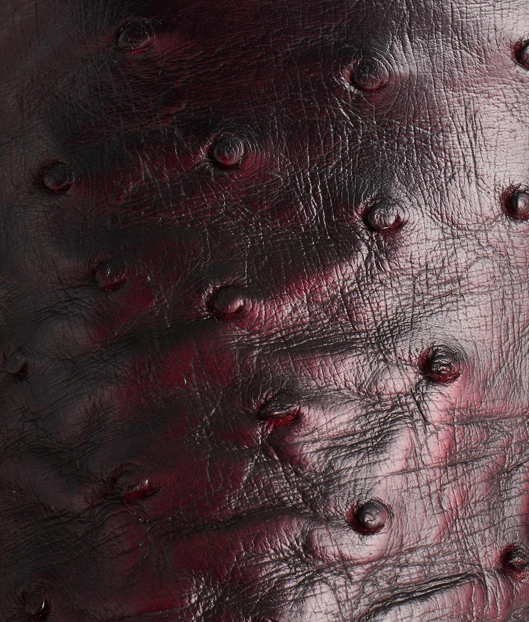 Cliff :: Black Cherry + Black - Image 7