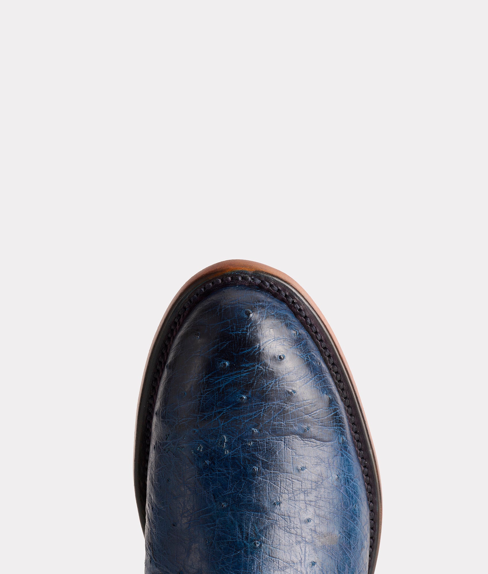 Sunset Exotic :: Navy - Image 6