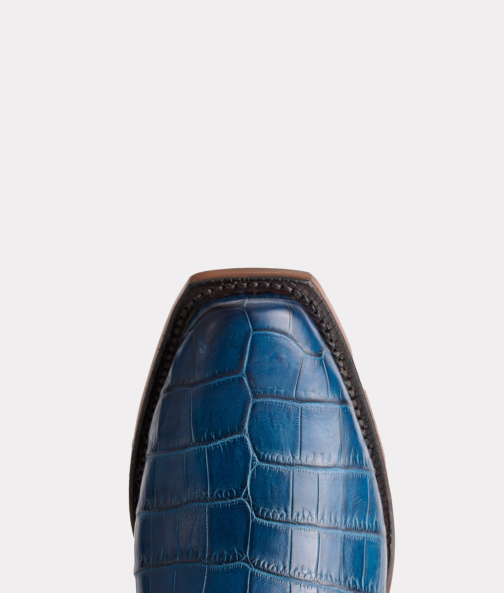 Tulip Exotic :: Navy - Image 7