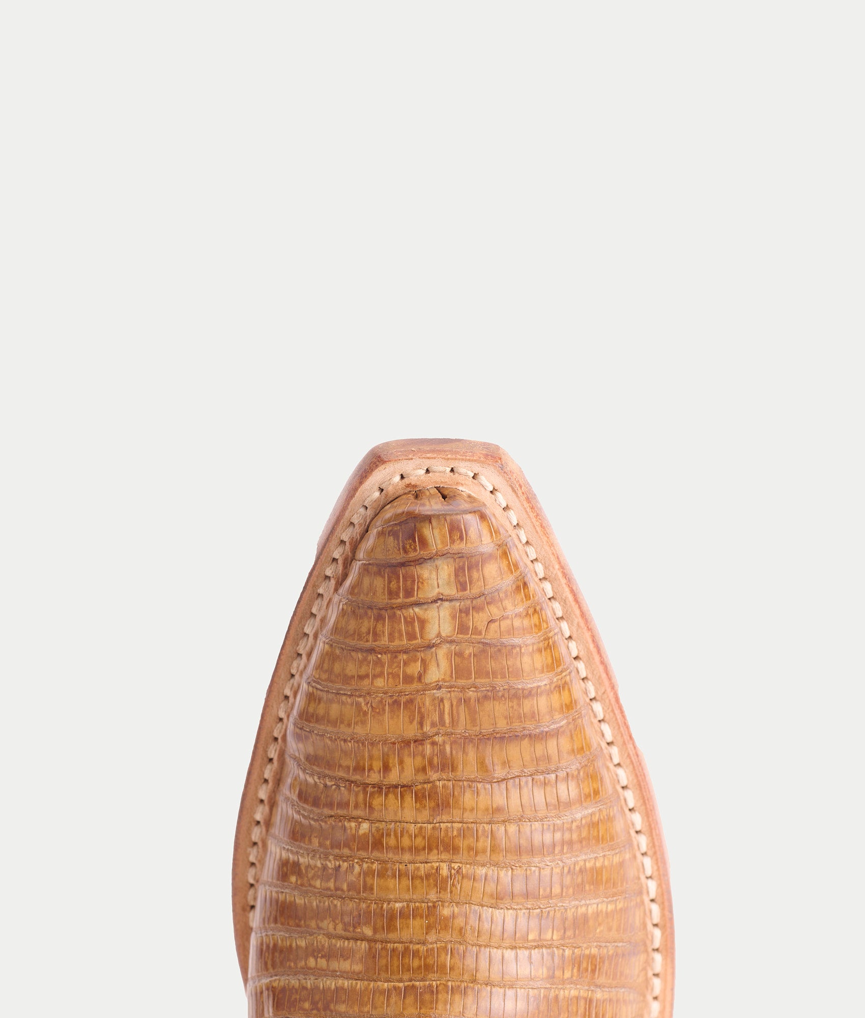 Dale Exotic :: Tan - Image 7