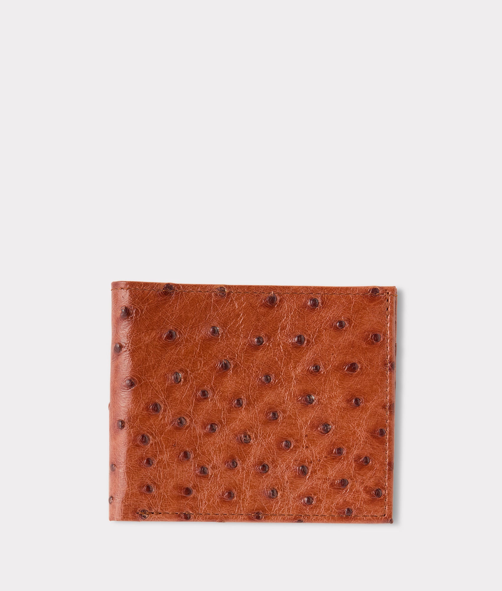Hipster Wallet ?C Ostrich :: Cognac