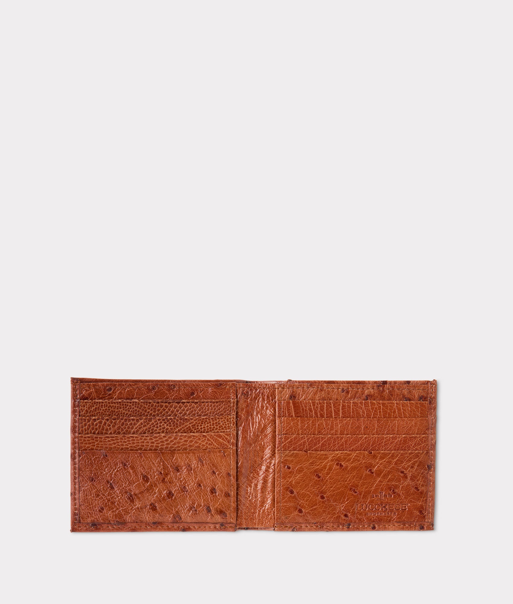 Hipster Wallet ?C Ostrich :: Cognac - Image 2