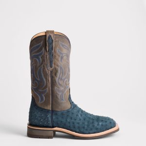 Rowdy Ostrich :: Navy