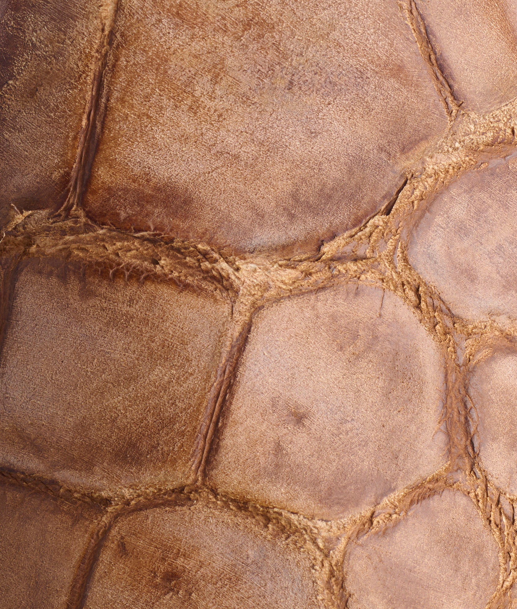 Rodney :: Cognac + Chocolate - Image 8