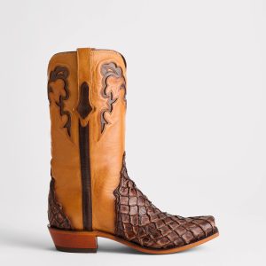 Narcisso :: Chocolate