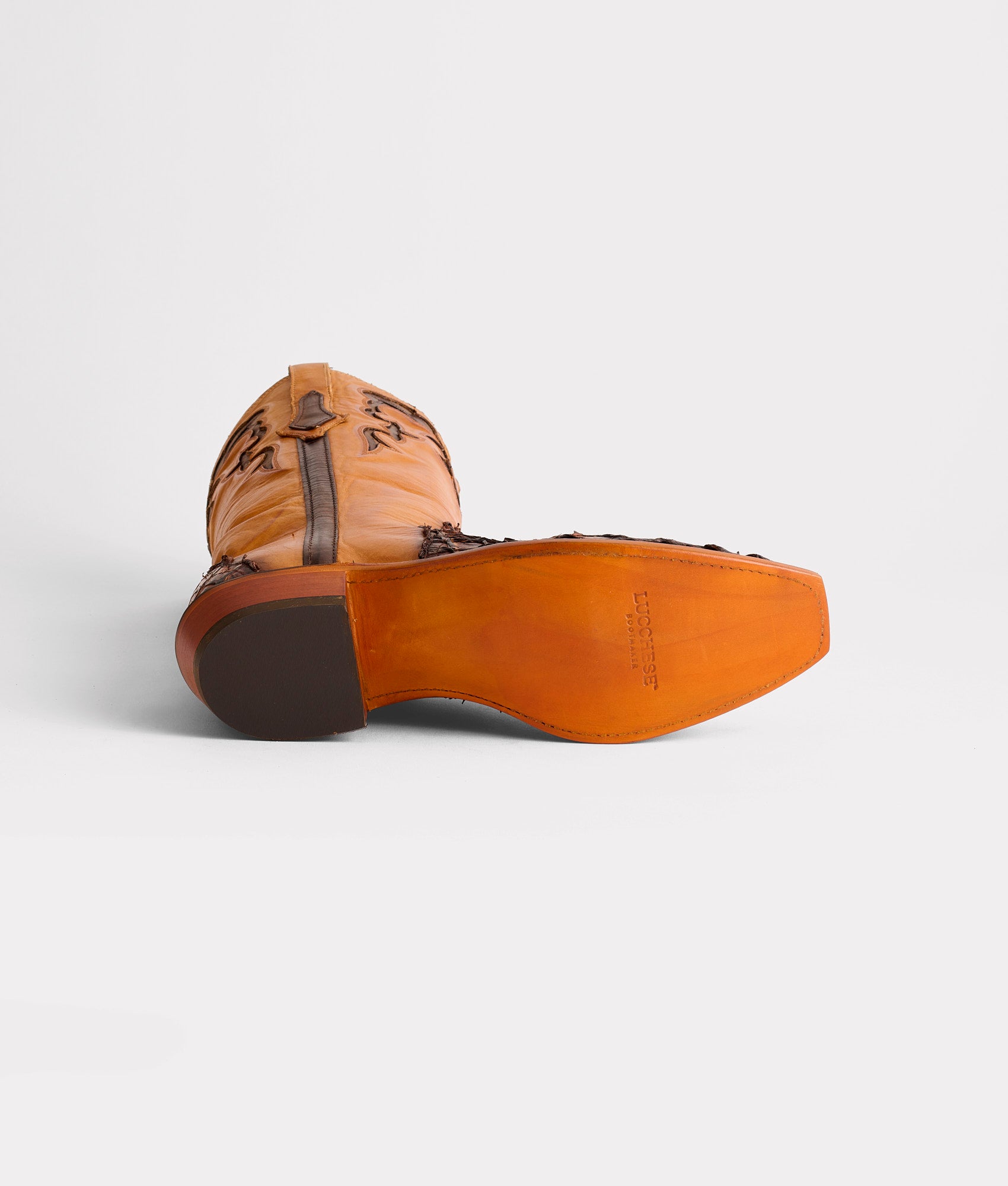 Narcisso :: Chocolate - Image 8