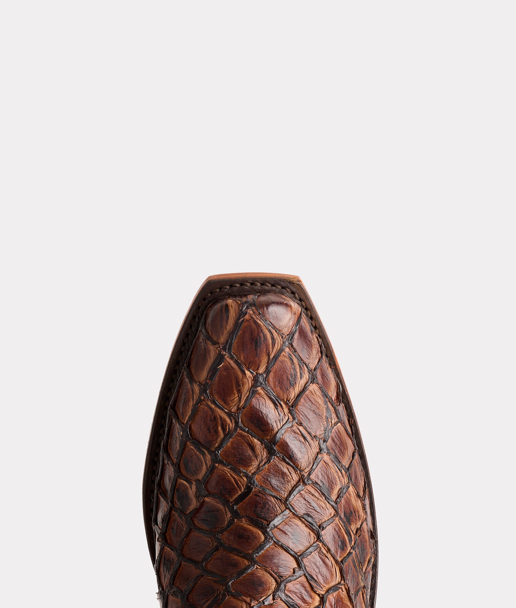 Narcisso :: Chocolate - Image 6