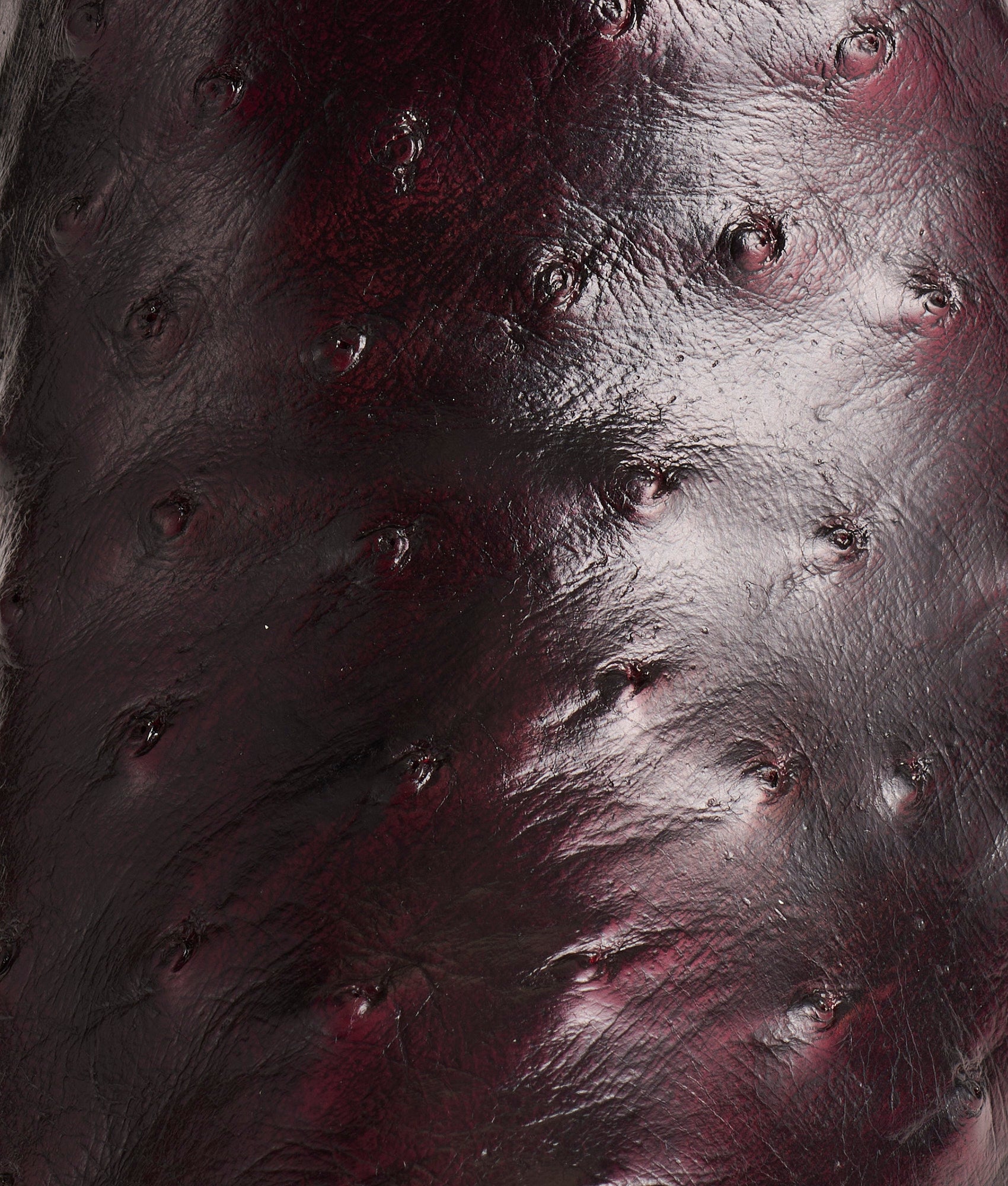 Josephine :: Black Cherry - Image 7