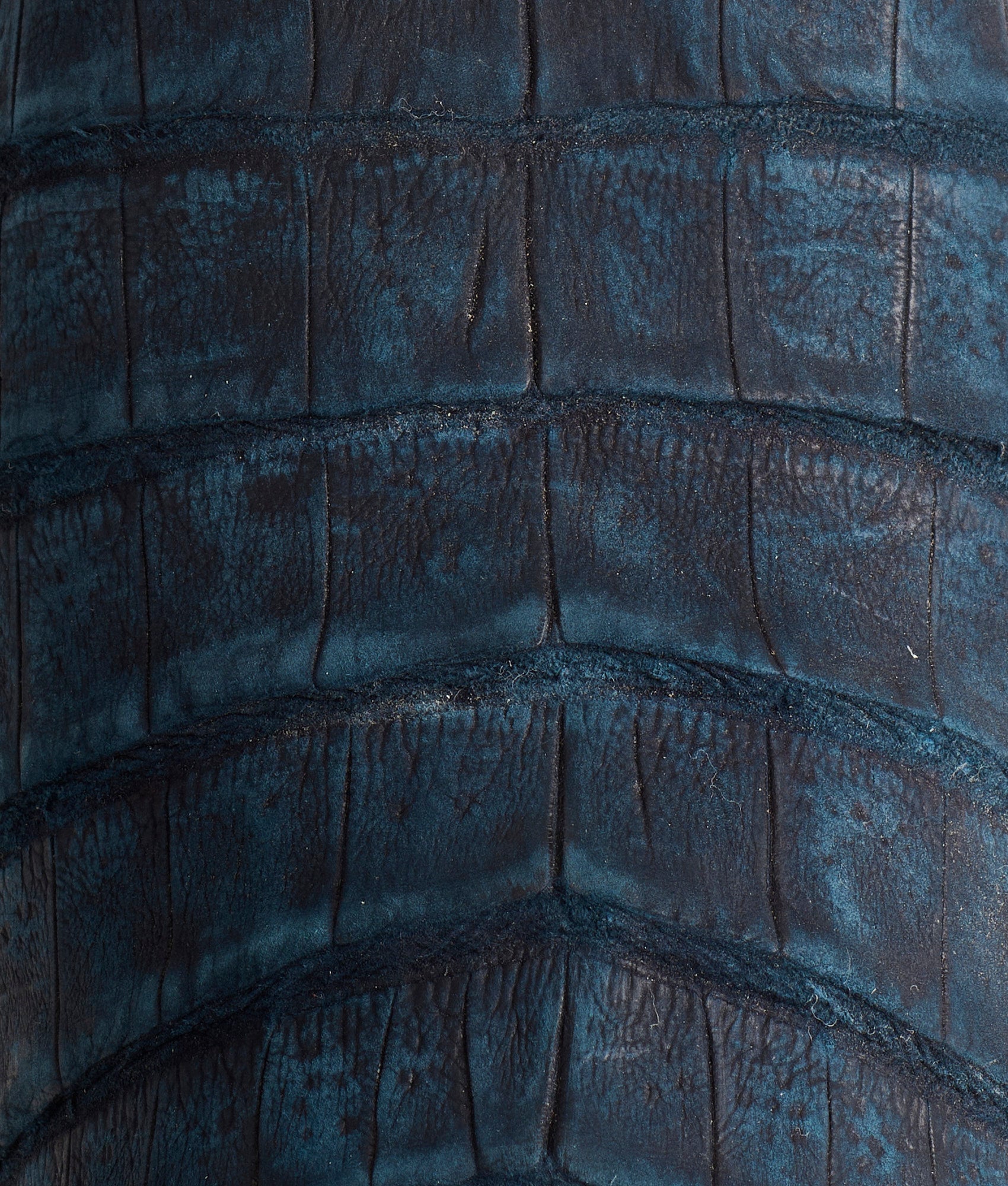 Priscilla Exotic :: Navy - Image 8