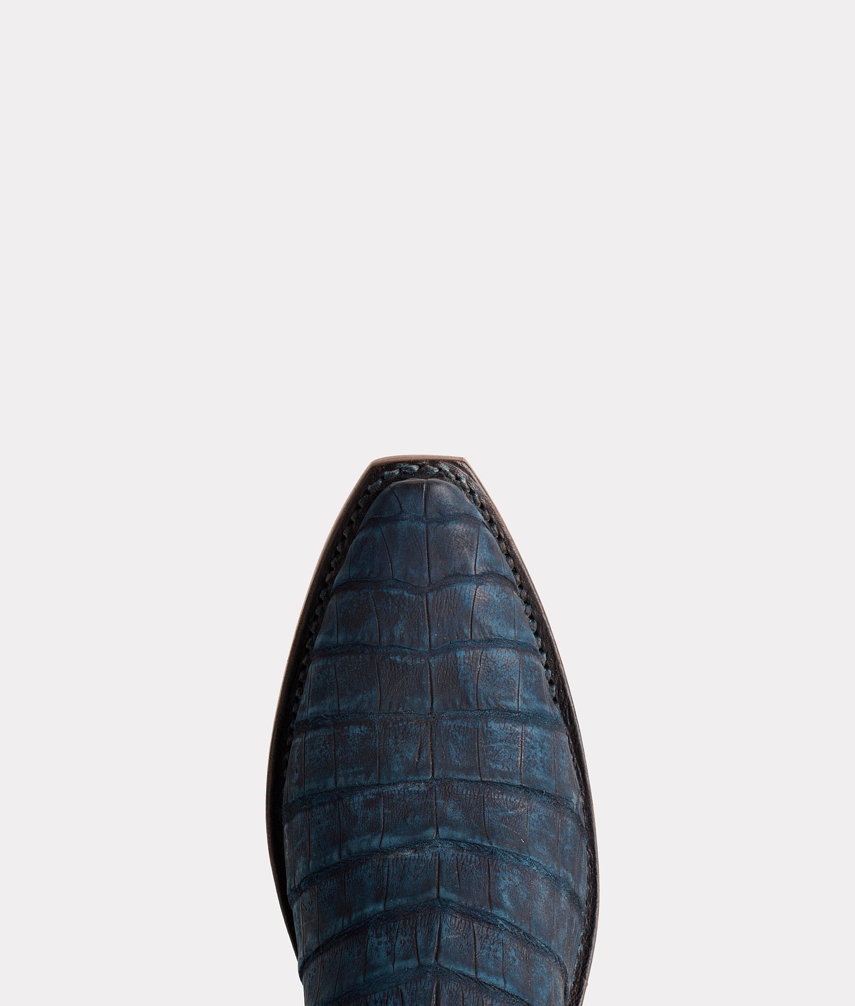 Priscilla Exotic :: Navy - Image 7