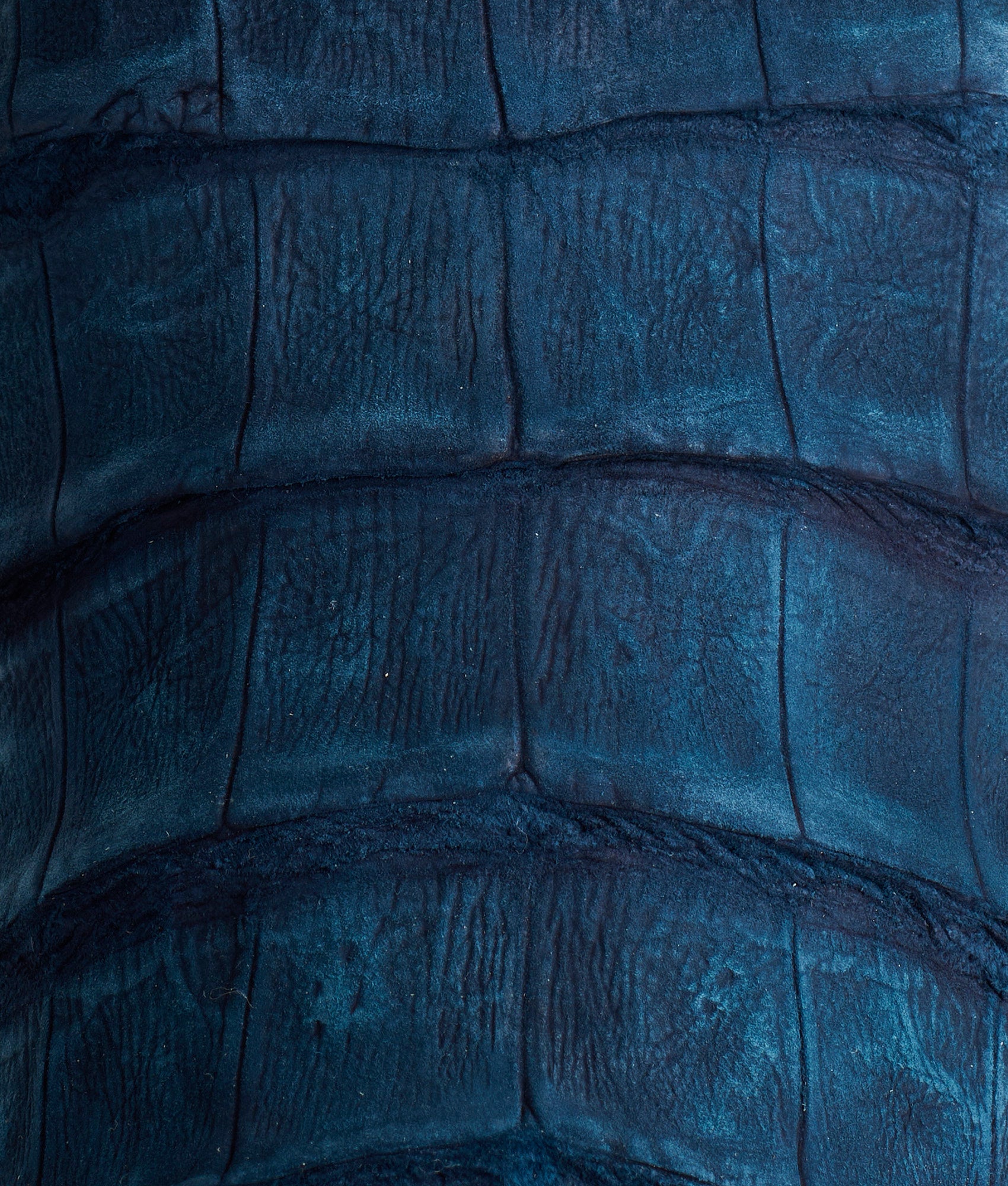 Dale Exotic :: Navy - Image 8