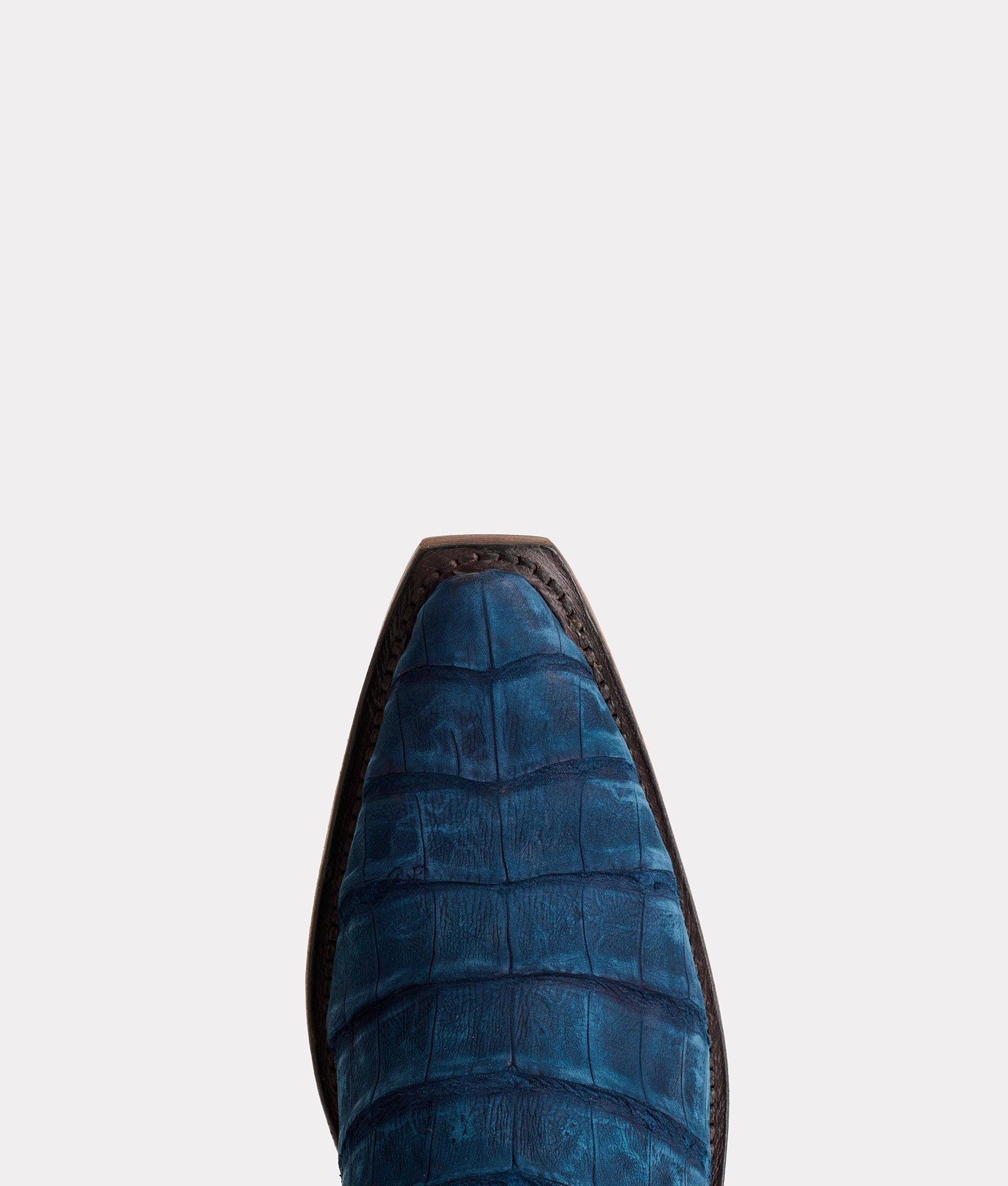 Dale Exotic :: Navy - Image 7