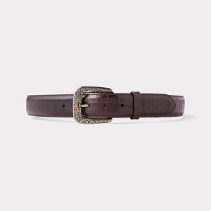 American Alligator :: Chocolate