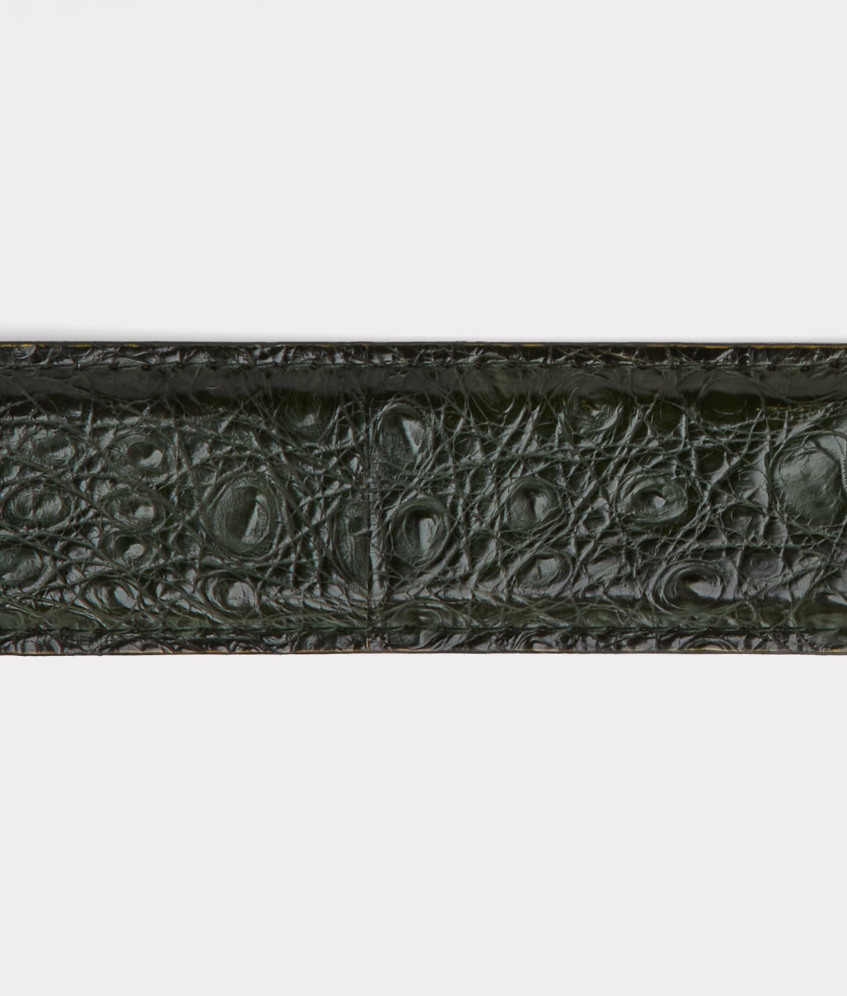 Buckaroo Belt :: Jungle Green - Image 5