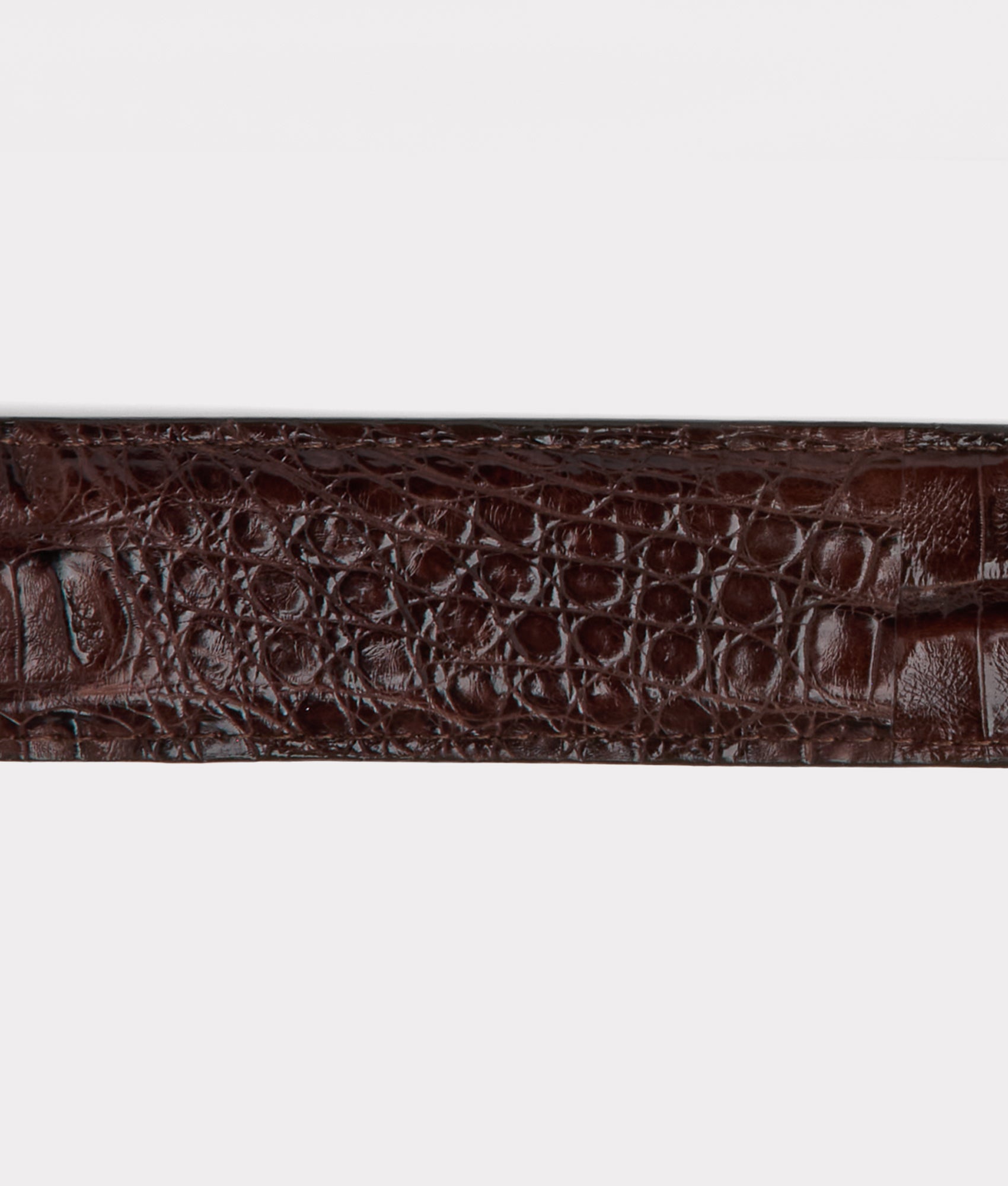 Buster Belt :: Chocolate - Image 5