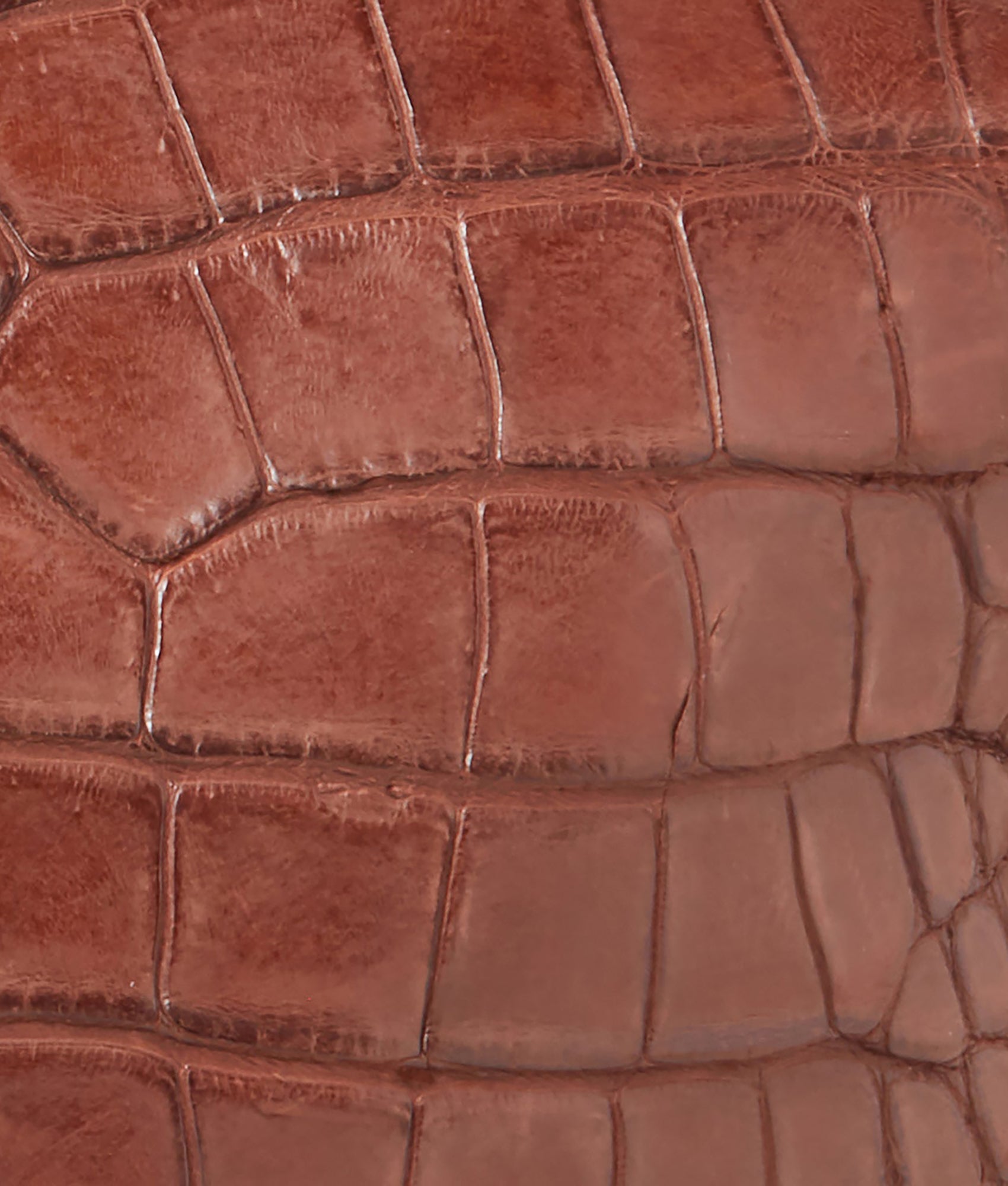 Giant Gator Duffle ?C Large :: Chocolate - Image 11