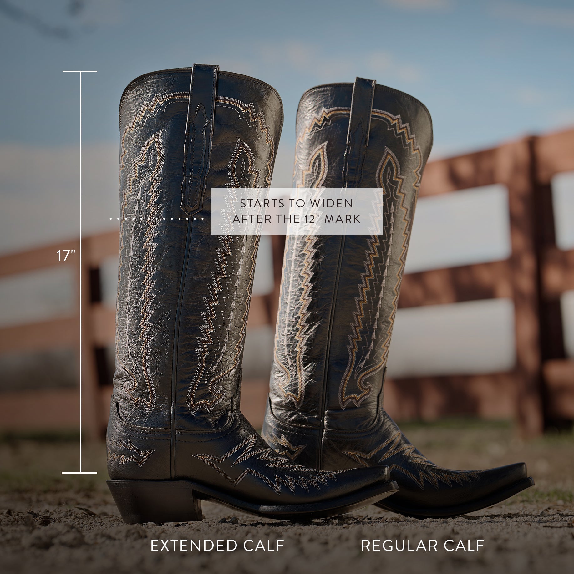 Priscilla :: Black - Image 9