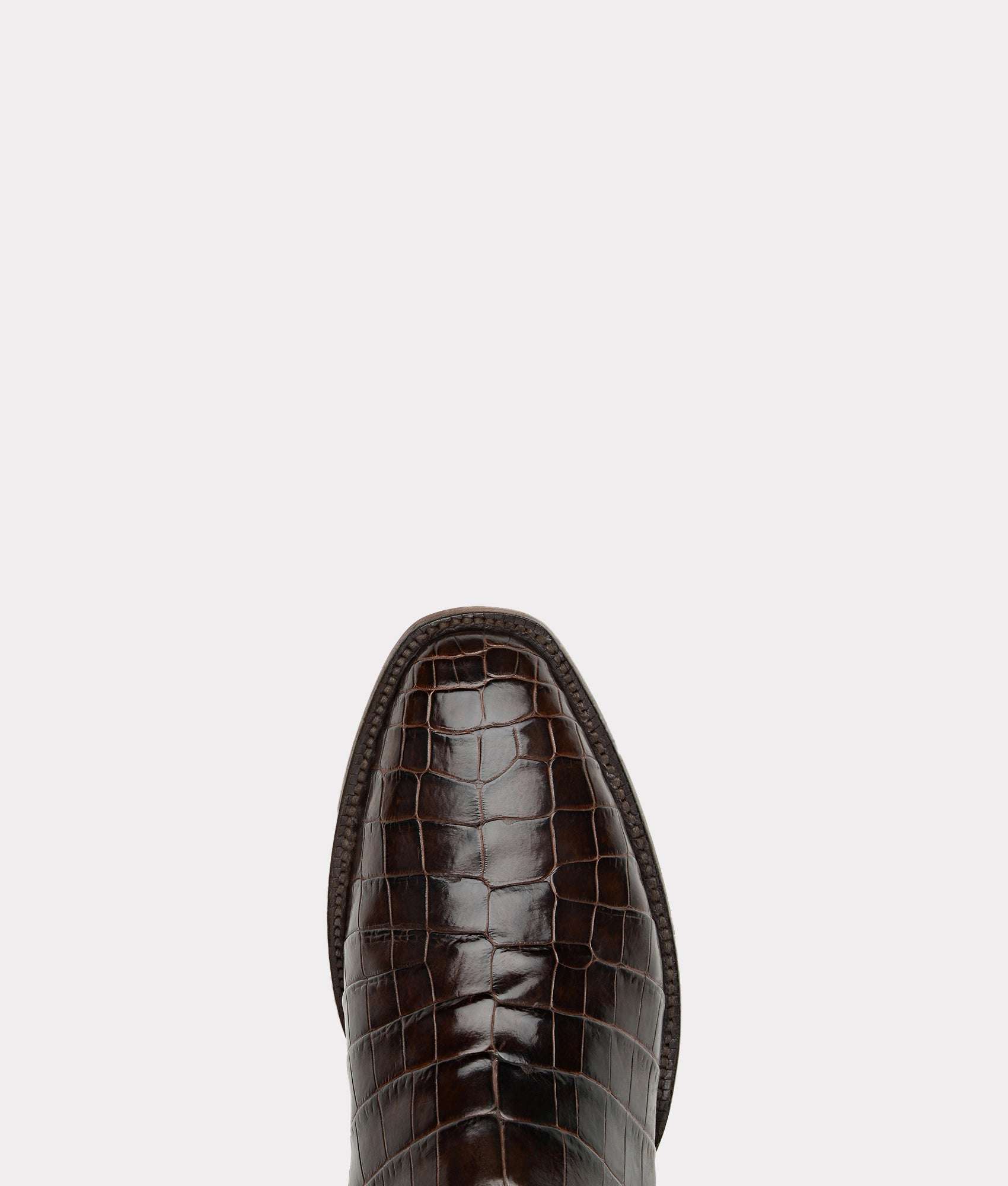 Elliott :: Chocolate - Image 3