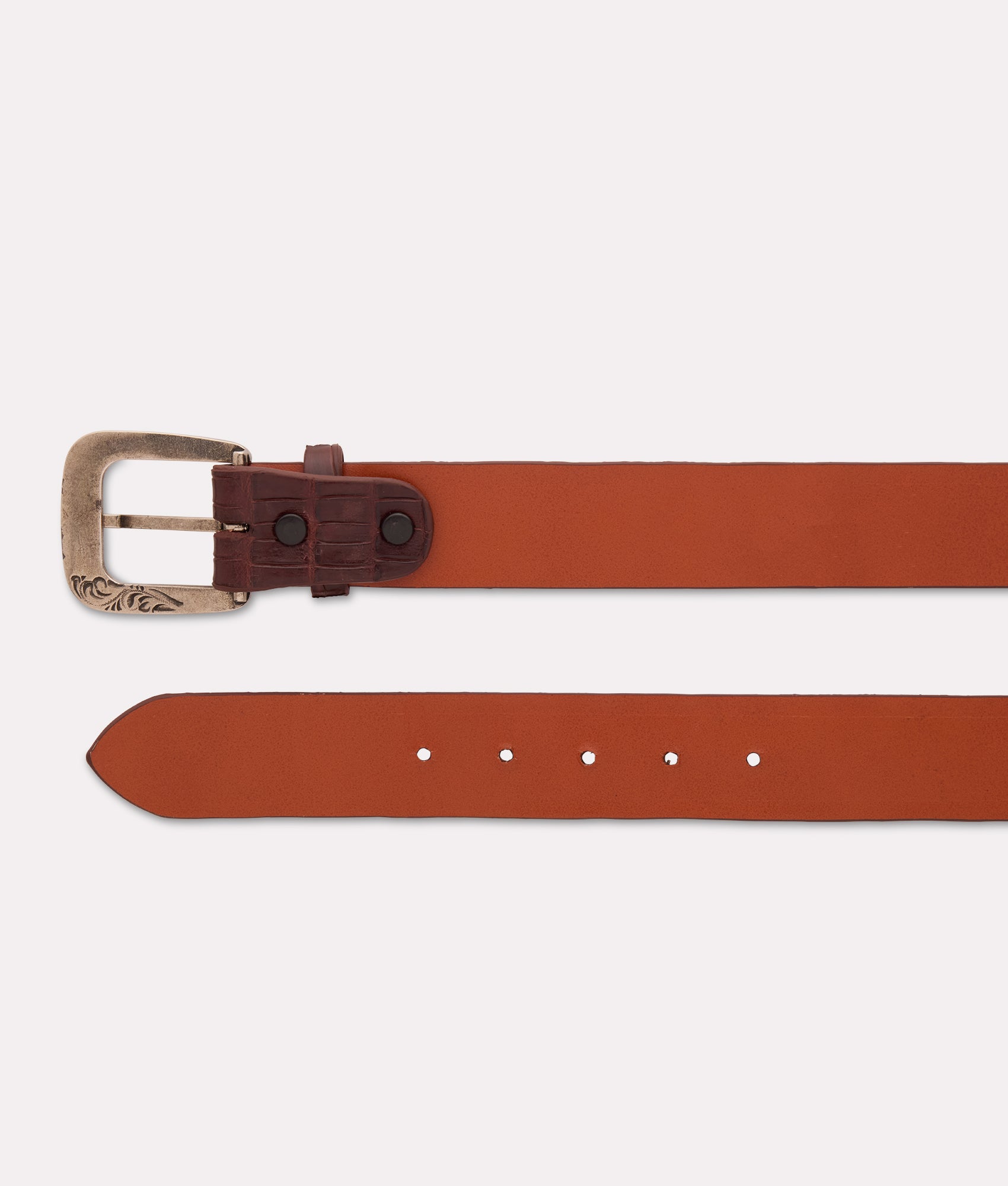 Ultra Belly Caiman :: Sienna - Image 5