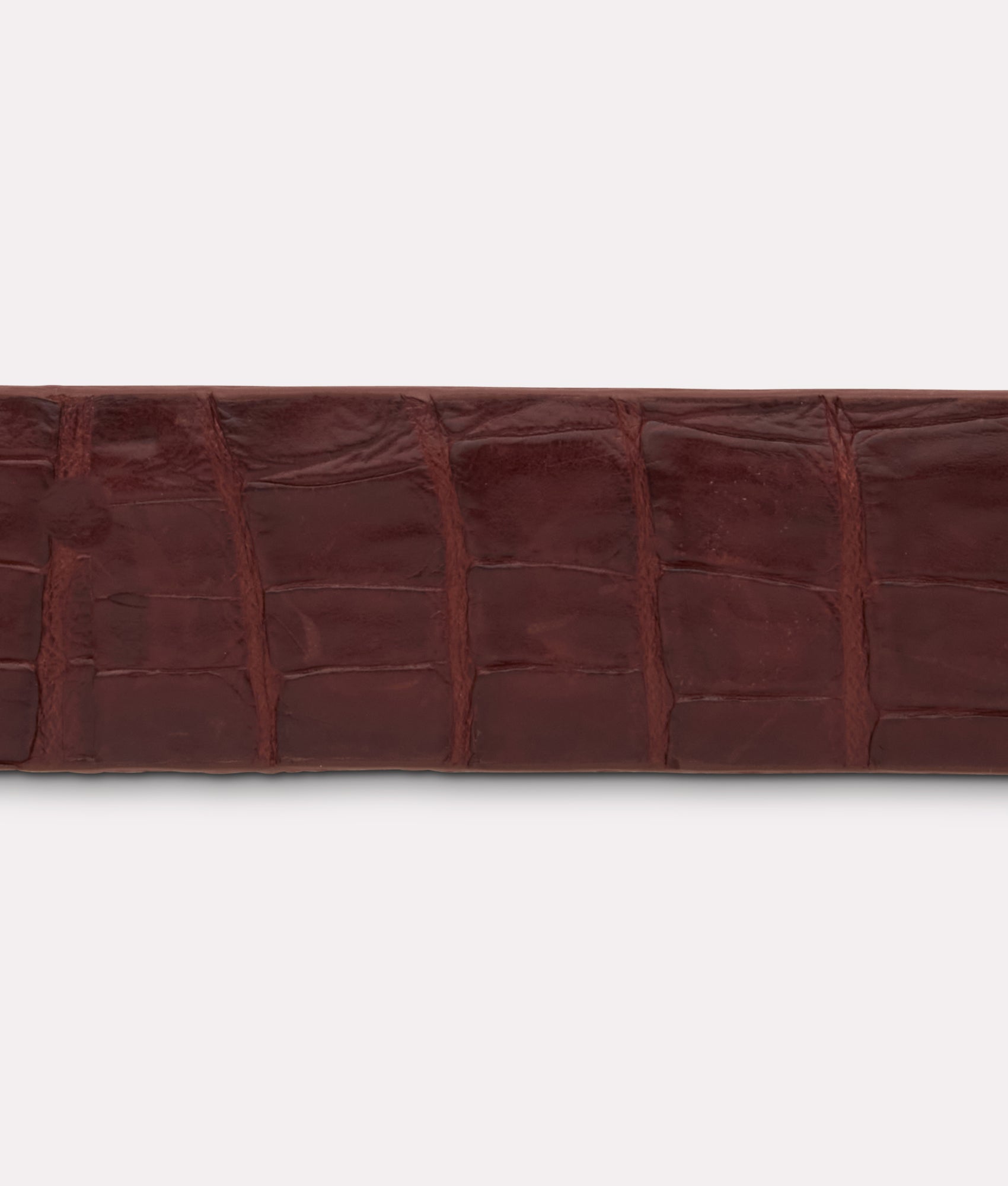 Ultra Belly Caiman :: Sienna - Image 6